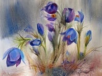 Botany